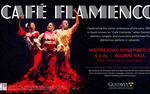 Photo gallery image named: 21078630_flamenco_digital.jpg