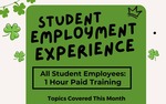 Photo gallery image named: student-employment-experience-yellowblack.jpg