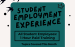 Photo gallery image named: student-employment-experience-yellowblack.png