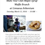 Photo gallery image named: maple-syrup.jpg