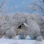 Photo gallery image named: winter-scene.jpg