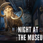Photo gallery image named: night-at-the-museum-2023.png