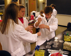 Students Participating in Research