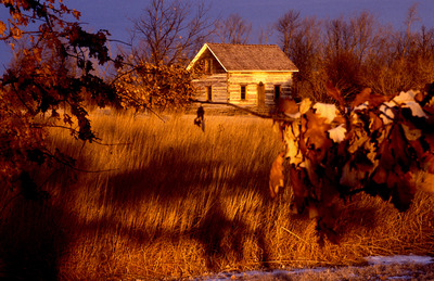 Fall Cabin