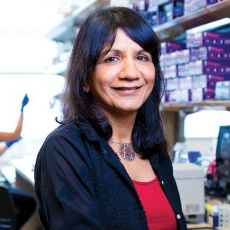 Amita Sehgal in lab