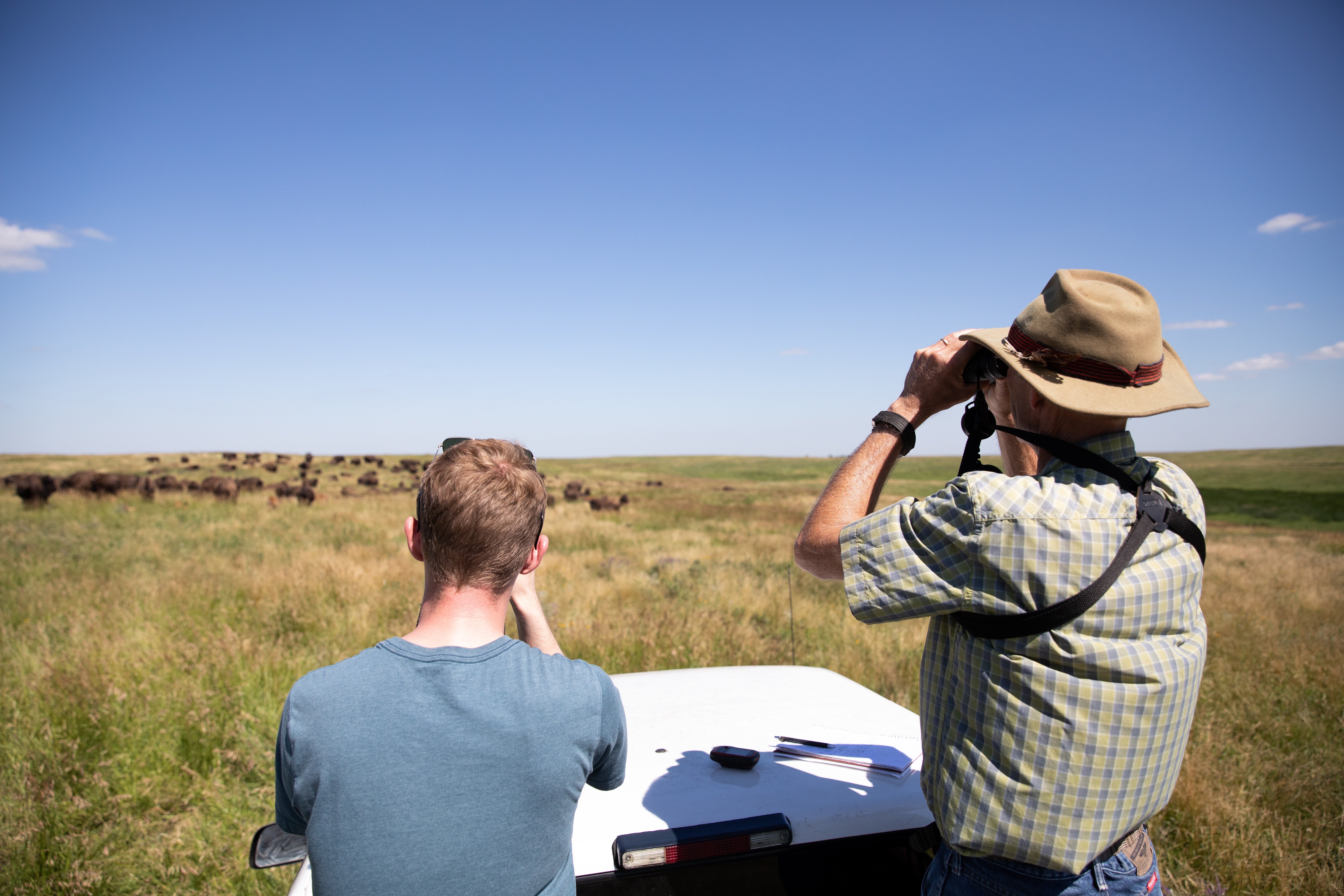 A student and a professor view bison from a distance. 