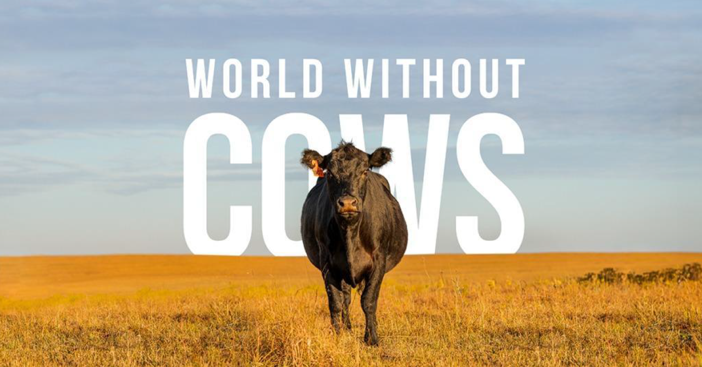 poster with text (world without cows) and cow standing in field