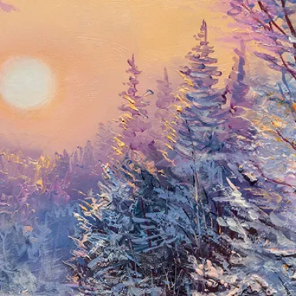 Winter snow covered pine trees at sunset.