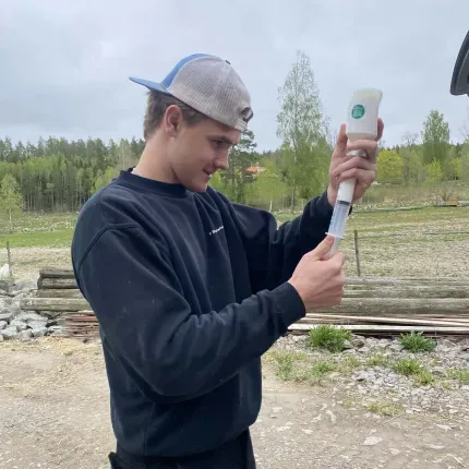 student Carl Shobe prepping antibiotics on a farm