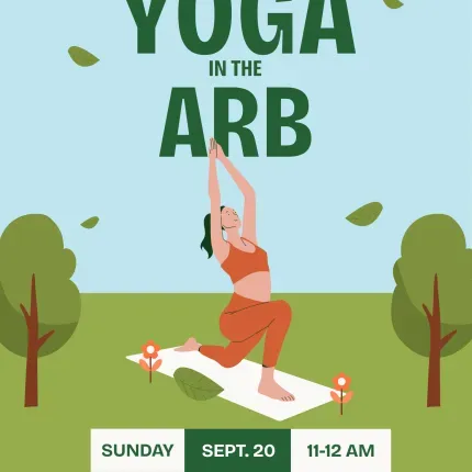 Woman doing yoga in a grassy space.