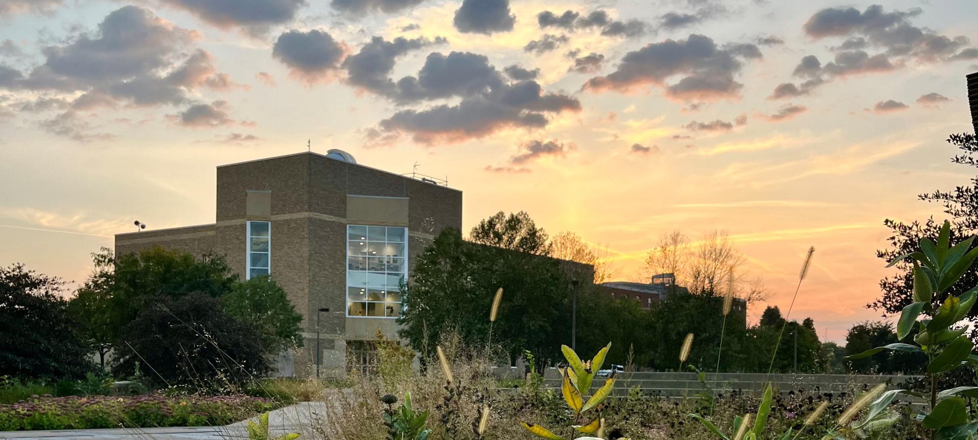 Olin Hall sunset