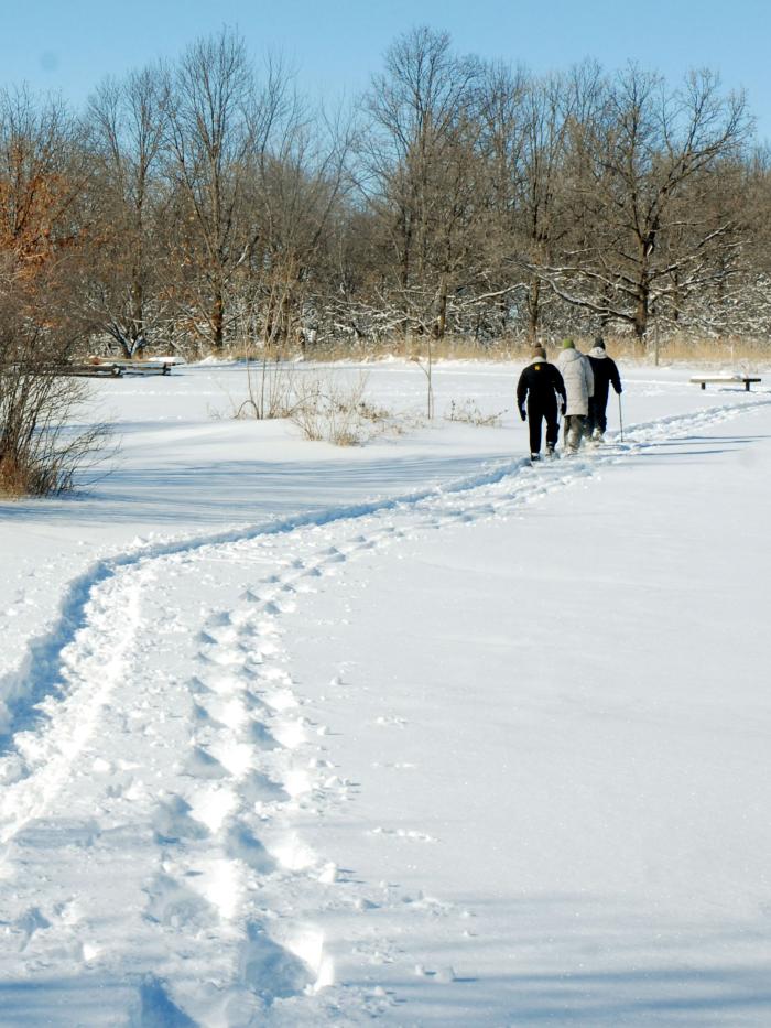 Snowshoe in the Arb