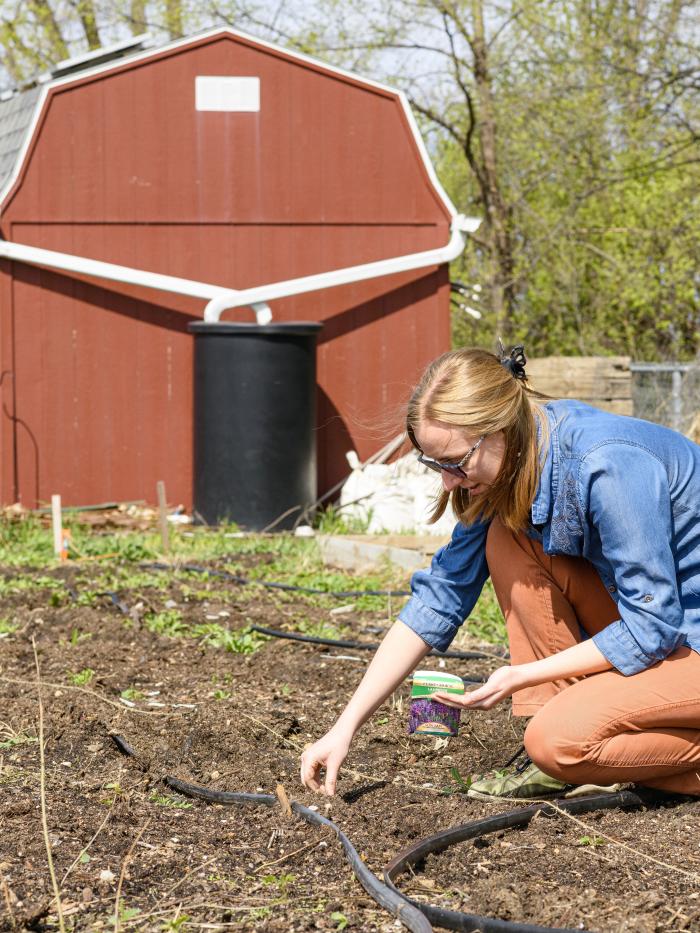 Big Hill Farm planting