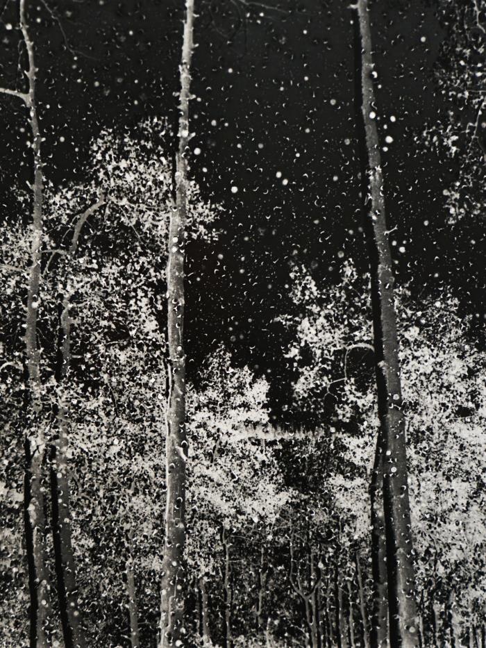 Artwork showing a forest of trees by artist Sobia Ahmad