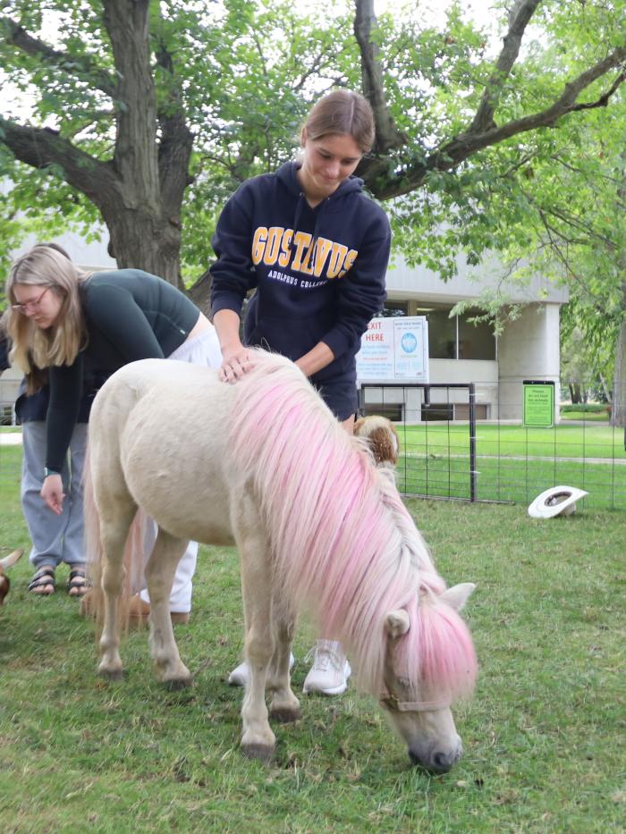 petting zoo