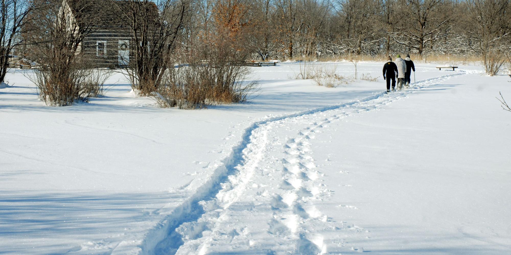 Snowshoe in the Arb