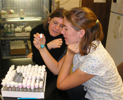 Students Participating in Research