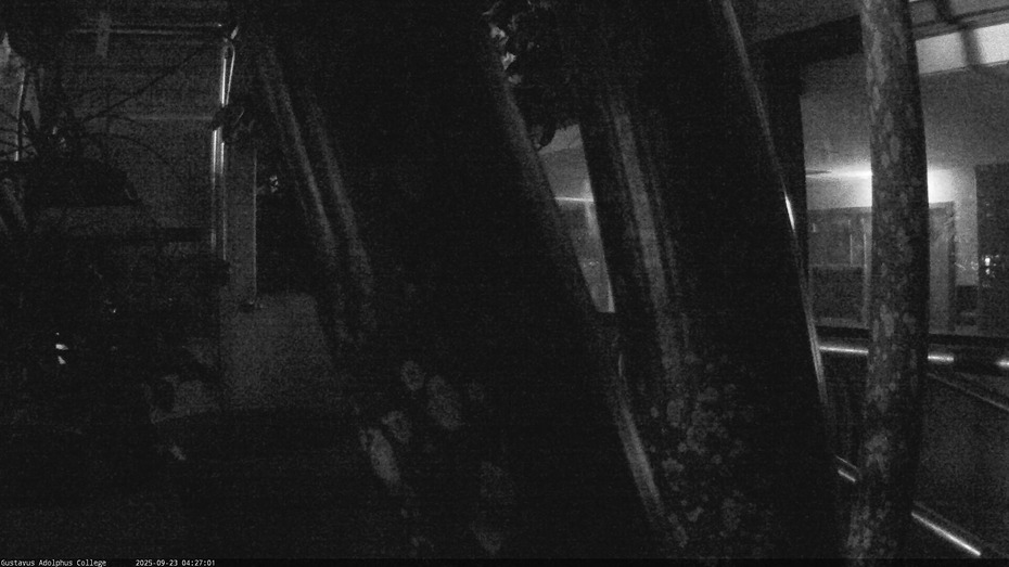 Gustavus Webcam