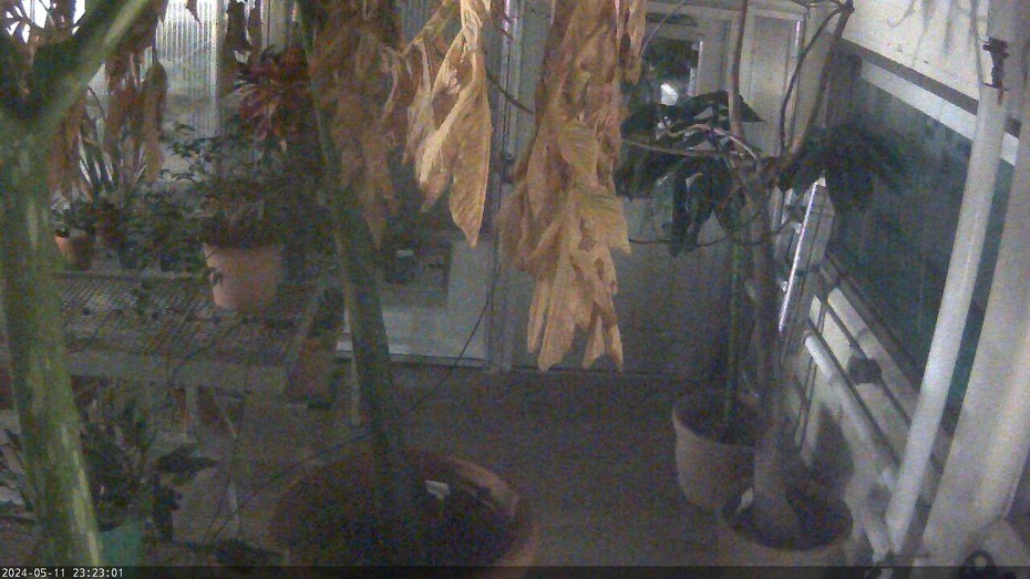 Gustavus Webcam